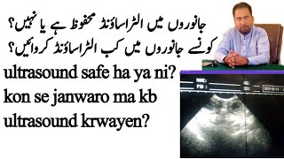 Ultrasound details - Dr Waheed Ahsan