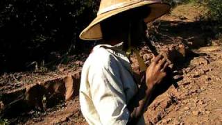 een herder en fluitspeler wordt lastig gevallen door onze gids (trekking Kalaw)