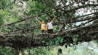 Living root bridge cherrapunji ah kan kal thut // Vacation // Honeymoon.