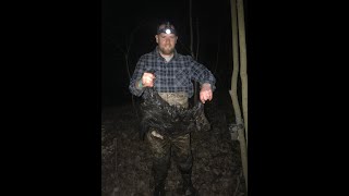 My first beaver, in foot hold