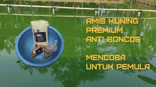 RACIKAN MUDAH DAN CEPAT!!! BAM AMIS KUNING PREMIUM PEMANCING PEMULA PUN BISA CEPAT NGETRIKSS