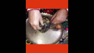 Begun Pora/Roasted Brinjal Recipe