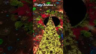 #christmas  - Merry Christmas