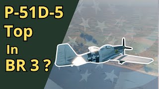 How To Fly With P-51