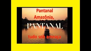 Pantanal e Amazônia tudo sob ameaça.