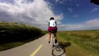 Cycling around Neusiedler See