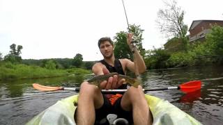 Kayaking Browns and Bows