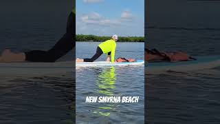 Amazing dolphin encounter in front of our paddleboard yoga class. #supyoga #newsmyrnabeach #lovefl