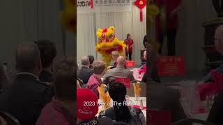 Spring Festival - Lion Dance #shorts