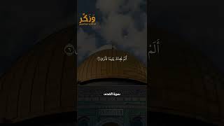 سورة الضحى الآيات من 1 إلى 9 بصوت القارئ سعد الغامدي #حالات  #quran #قرآن  #shorts