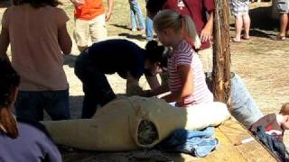 Anna, Haley & Ashton Building a ScareCrow