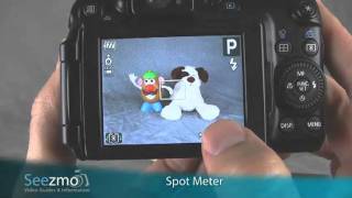 Canon G11: Spot Meter Guide