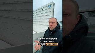 Видео подсказка . Диллерам -продавцам.Рынку нужны грузовики   #спецтехника #грузовик #перевозки