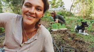 ¡DESEADNOS SUERTE! Plantando y Sembrando comida para el Invierno