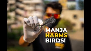 Four birds rescued from manja in one day... | RESQ Charitable Trust, Pune