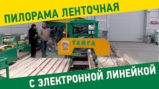 Пилорама ленточная "Тайга Т-3" с электронной линейкой Микрон 4