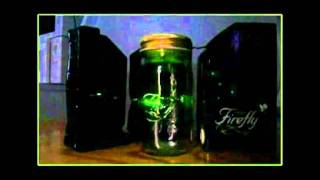 My Pet Firefly Jars - Interactive Gadget Gifts