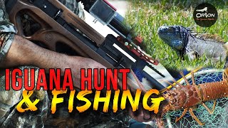 Lobsters, Iguanas & Cricket 2 | Orion the Iguana Hunter & Airgun Supremacy