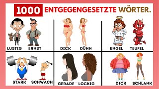 Entgegengesetzte Wörter auf Deutsch #001 | äufige Gegensätze | Deutscher Wortschatz | Deutsch Lernen