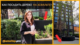 Подпорная стена из металла или как сделать клумбу для дерева