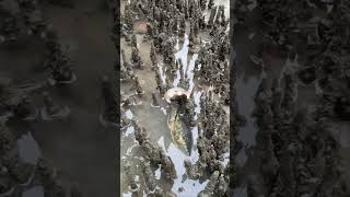 Catching GIANT MUDCRABS Barehands #shorts