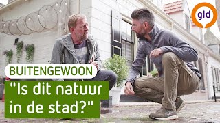 Natuur in Hanzestad Elburg | BuitenGewoon