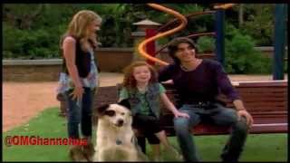 Dog With A Blog Marathon Pomo - G Hannelius