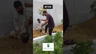 Plantation & Cleaning Drive in Karachi #cleaning #plantation #motivational #society #viralvideo