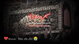 21 Ramzan Shahadat Mola Ali AS / New status Nohay 2023 / Irfan Haider @ by ali Abbas all'status