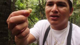 Episode 1 - Javier's Jungle: Survival Cuisine