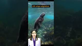 AI Avatar's Fun Facts | Swimming Iguanas... | #ai #shorts