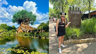 Eating at Tiffins at Disney's Animal Kingdom! The Best Safari with so Many Animals!