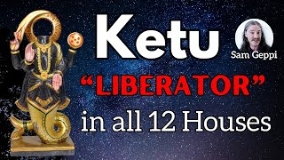 Ketu in all 12 houses - The Liberator Ketu shines a light on the Karmas you are Finishing Perfecting