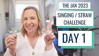 S/S Challenge Day 1 - January 2023