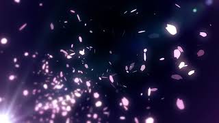 Cherry blossom petals soar wind [free stock video footage]