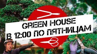 GreenHouse - в 12.00 по пятницам