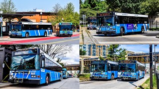 Exclusive! Farewell to the Montgomery County Transit Ride On 2008 Low Floor Gillig Advantage Diesels