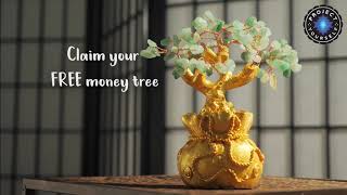 Special Promo: Season Of Abundance Bonsai Money Tree