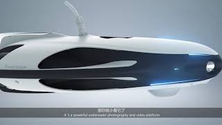 PowerVision PowerRay 小海鰩水下無人機