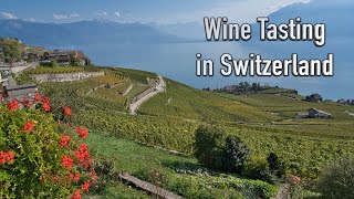 Wine Tasting in Switzerland 4K