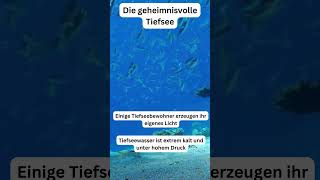 geheimnisvolle Tiefsee #meer #ocean #oceanlife #information #mystisch #ozean #wissenswertes #wissen