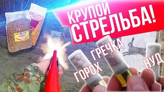 Стрельба крупой из ружья. Гречка, горох, нут.