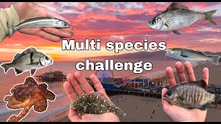 Multi species fishing challenge (santa Monica pier fishing)