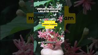 MERAIH KEMULIAAN LAILATUL QADAR #meraihlailatulqodar #lailatulqadar #ustadzahhalimahalaydrus #fyp