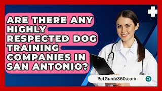 Are There Any Highly Respected Dog Training Companies in San Antonio? - PetGuide360.com