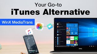 Your Go-to iTunes Alternative for Windows: WinX Mediatrans OFFICIAL Guide