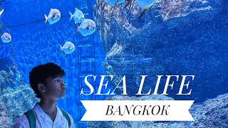 Sea life at Bangkok, Thailand.