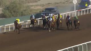 Jebel Ali 021124 Race 6