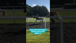 8yo kid heads up the gallops! He wants to be a jockey! 📹: Richard Hughes #horse #pony #horseracing