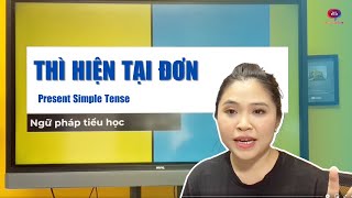 THÌ HIỆN TẠI ĐƠN - Ngữ pháp tiểu học (Tập 1)